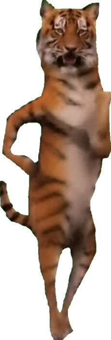 Low-resolution dancing tiger